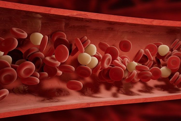  علایم، دلایل و راه های درمان کم خونی همولیتیک خودایمن