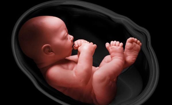سقط جنین | آنچه باید درباره سقط جنین و انواع آن بدانید