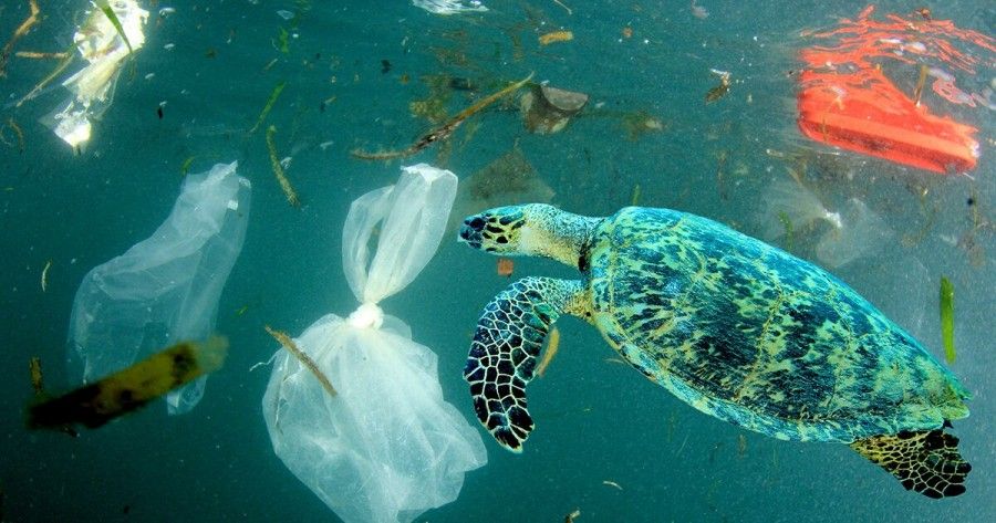 مضرات پلاستیک برای انسان و محیط زیست | چرا با کاهش مصرف پلاستیک به خود و طبیعت کمک می کنیم؟