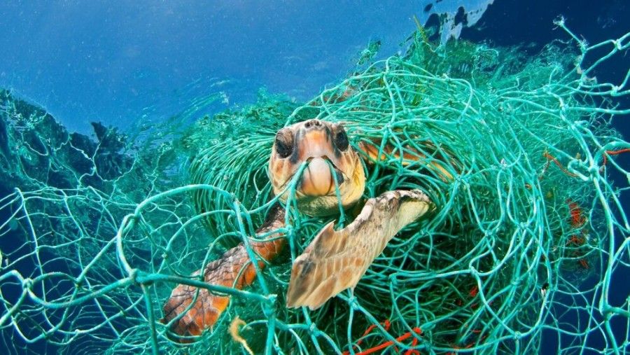 مضرات پلاستیک برای انسان و محیط زیست | چرا با کاهش مصرف پلاستیک به خود و طبیعت کمک می کنیم؟
