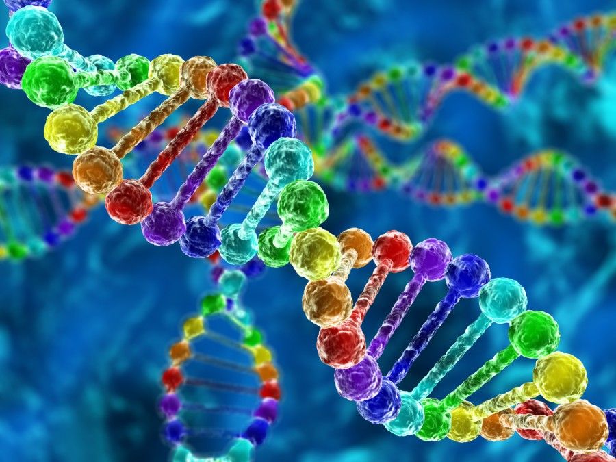 جامع ترین اطلاعات بیماری های شایع ژنتیکی