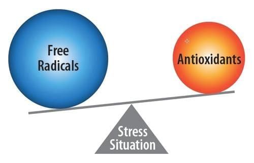 استرس اکسیداتیو چیست؟ | رابطه آنتی اکسیدان ها با استرس اکسیداتیو
