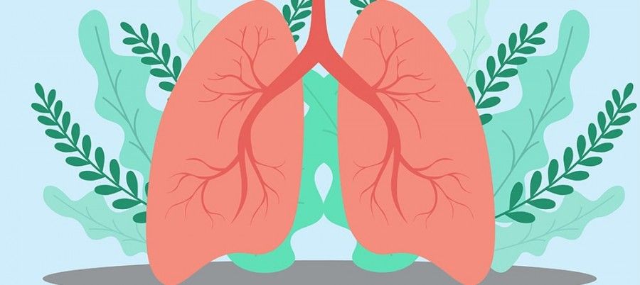 روش های پاکسازی ریه ها را پیش از بیماری بیاموزید
