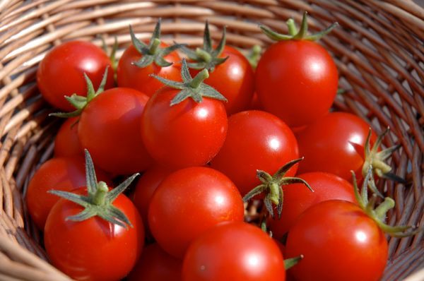 مصرف گوجه فرنگی برای چه افرادی خطرناک است؟