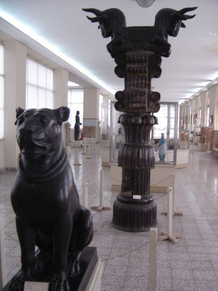 آیا می دانید سگ در فرهنگ ایران باستان چه جایگاهی داشت؟