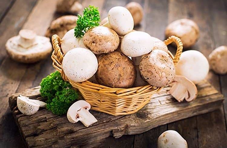 فواید قارچ های خوراکی برای سلامتی که نمی دانستید