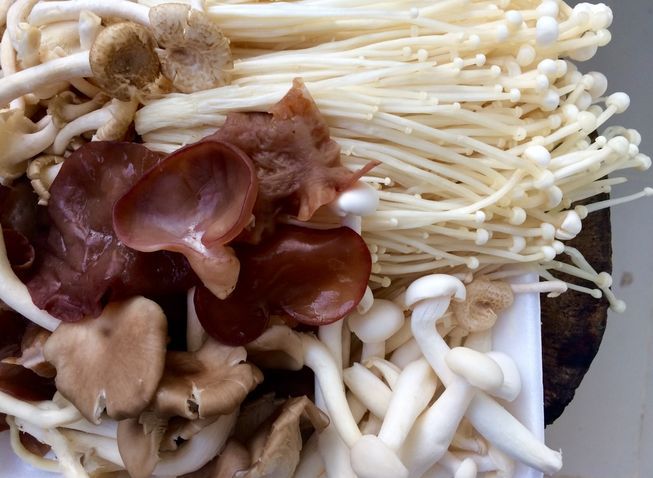 فواید قارچ های خوراکی برای سلامتی که نمی دانستید