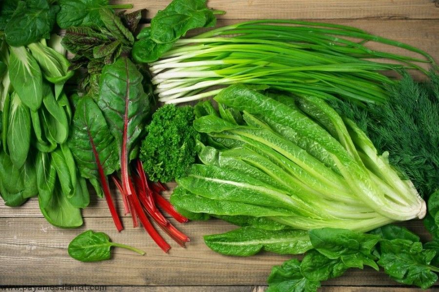 آلزایمر و رژیم غذایی | با رژیم غذایی از آلزایمر پیشگیری یا آن را کنترل کنید