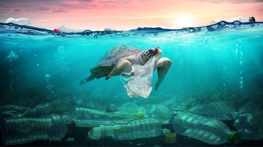 ایالات متحده بدترین آلوده کننده پلاستیک جهان است که بیش از کل اتحادیه اروپا تولید می کند