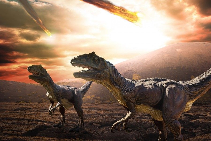 چرا دایناسورها منقرض شدند در حالی که حیوانات دیگر زنده ماندند؟