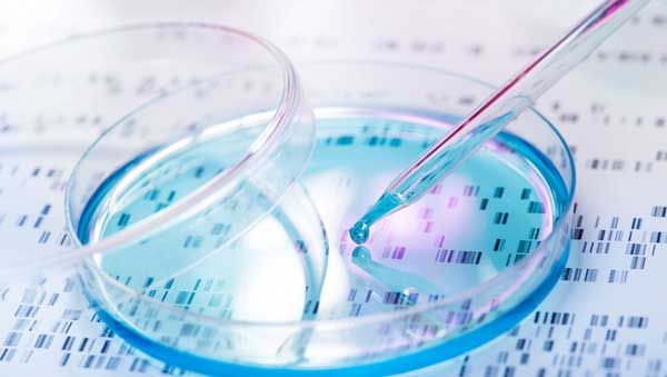 فواید آزمایش ژنتیک قبل از بارداری