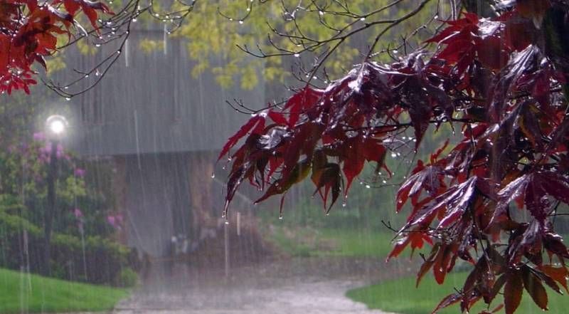 وضعیت تکان‌دهنده بارش‌ها/ زنگ خطری که باید شنید!