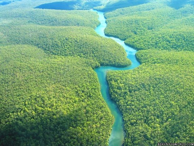 حقایق باورنکردنی و شگفت انگیز درباره جنگل آمازون