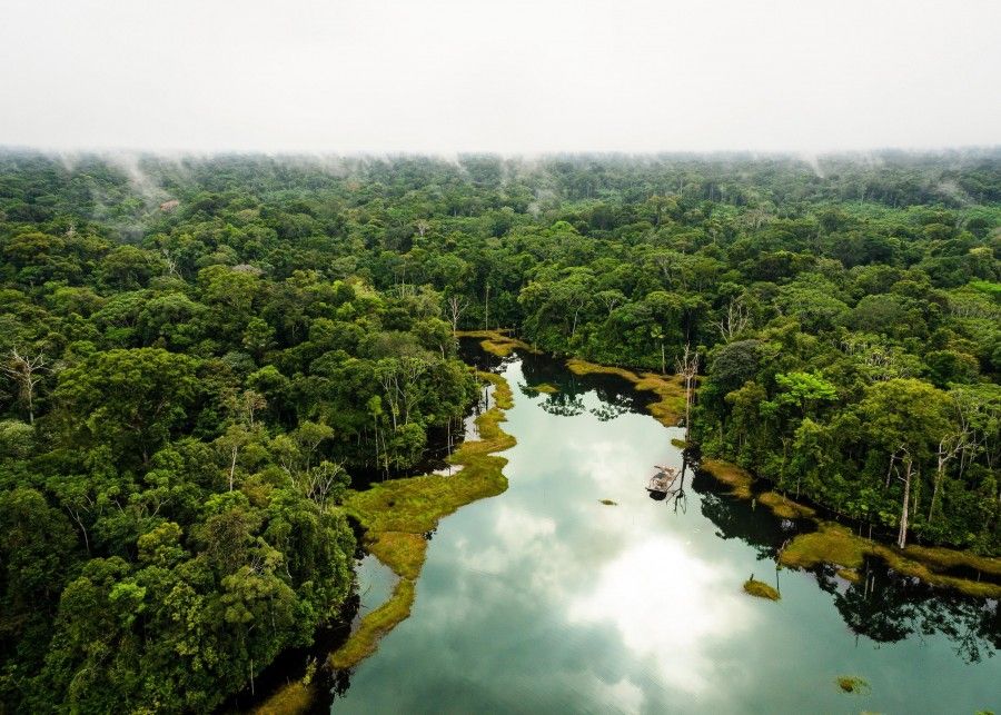 اهمیت جنگل بارانی آمازون برای جهان