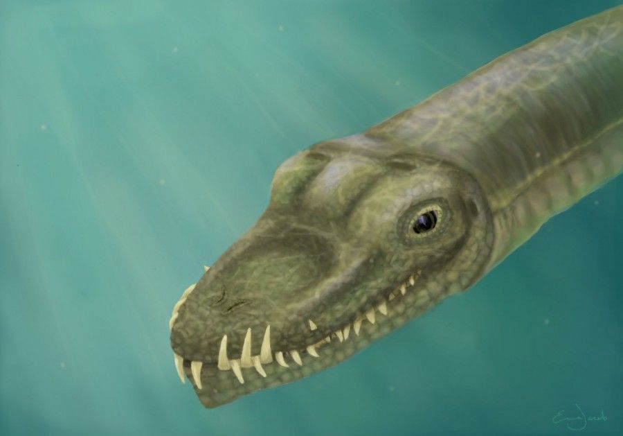 کشف معمای هیولای ۶ متری که ۲۴۵ میلیون سال پیش زندگی می‌کرد