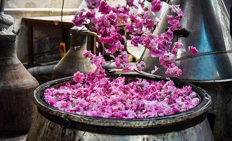 سفر در اردیبهشت | در اردیبهشت به کجا سفر کنید