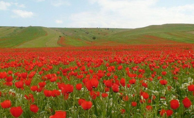 سفر در اردیبهشت | در اردیبهشت به کجا سفر کنید