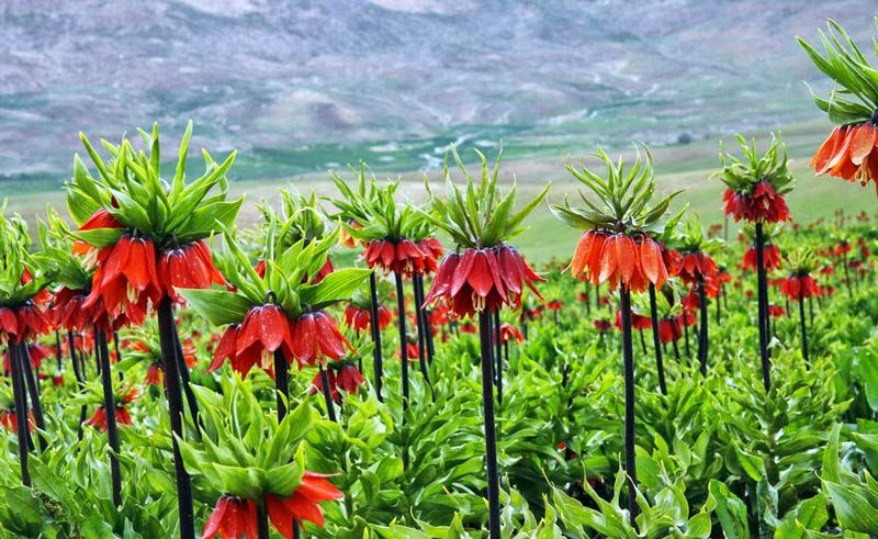 سفر در اردیبهشت | در اردیبهشت به کجا سفر کنید