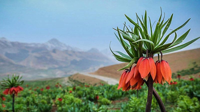 سفر در اردیبهشت | در اردیبهشت به کجا سفر کنید