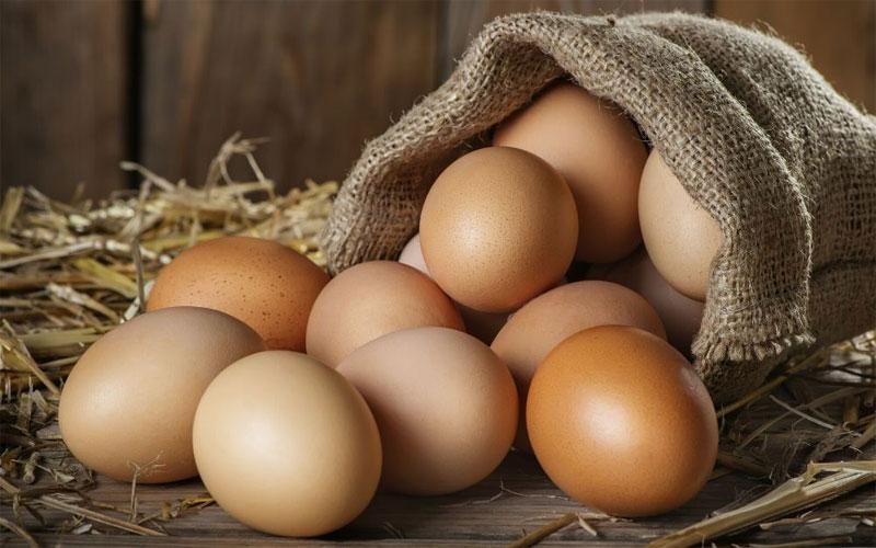 16 خاصیت تخم مرغ محلی که باید بدانید