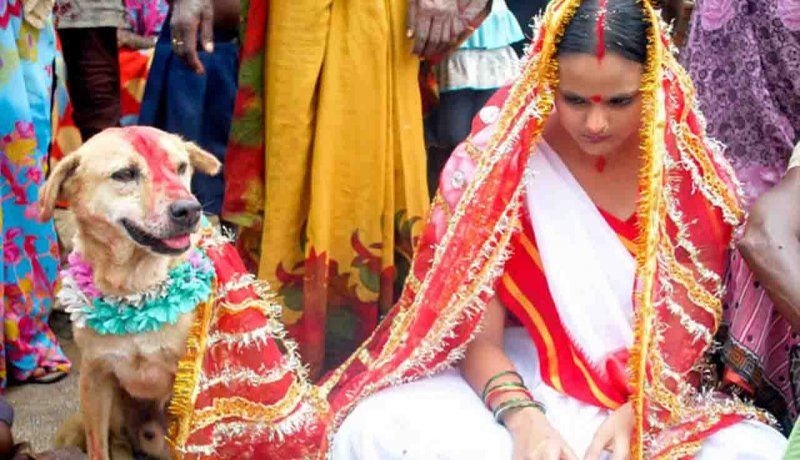 رسم عجیب و طنزآمیز: ازدواج دختر با سگ در هند برای خوش شانسی