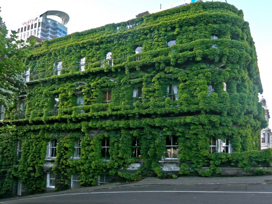 معماری سبز؛ همزیستی با طبیعت با ساختمان های زنده