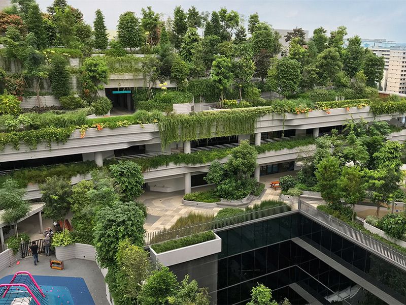 معماری سبز؛ همزیستی با طبیعت با ساختمان های زنده