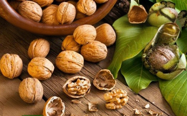 گردو چه تاثیراتی بر کاهش فشار خون دارد؟