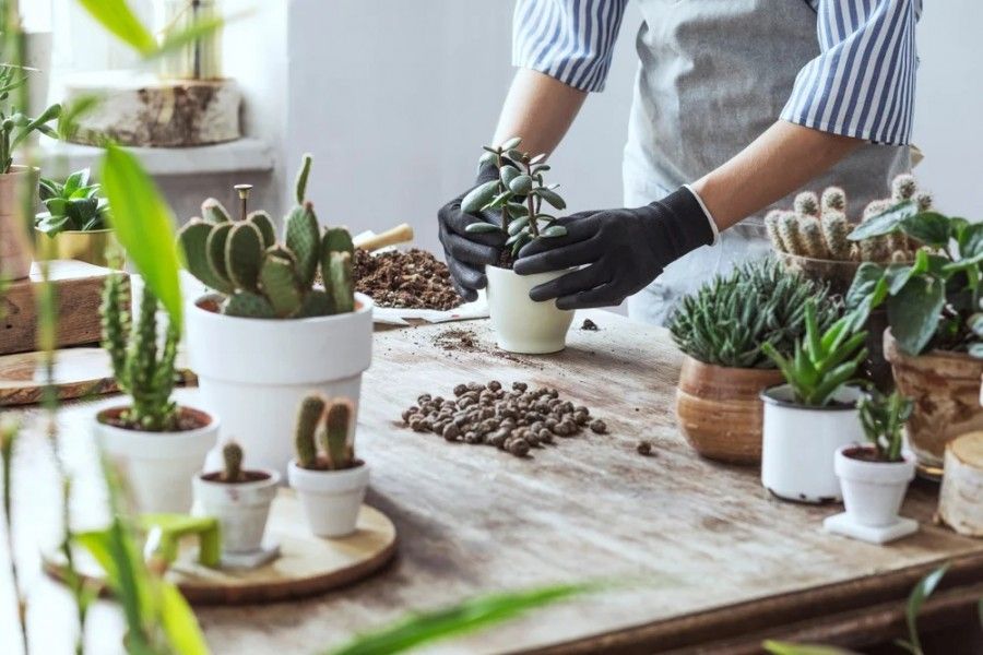 هزینه کردن برای این ۷ چیز شما را شادتر میکند
