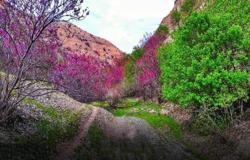 نقاط بهشتی در ایلام که در بهار باید ببینید