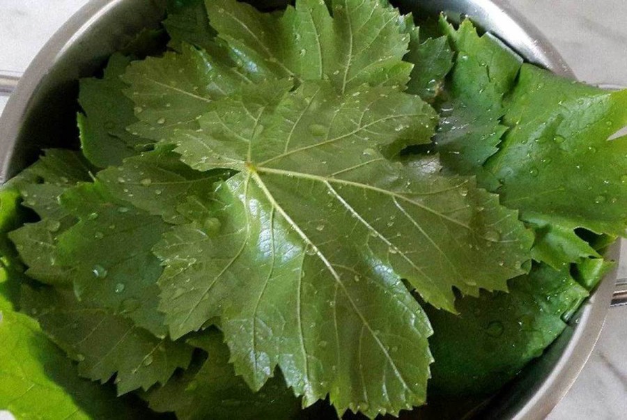 چگونه برگ مو را در طولانی مدت نگهداری کنید؟