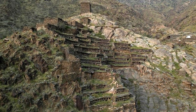 کندوهای سنگی یا زنبورستان عربستان: شاهکاری از معماری باستانی