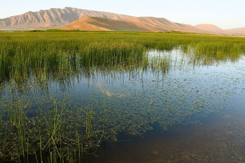 تالاب‌های بکر چهار محال و بختیاری برای طبیعت گردان