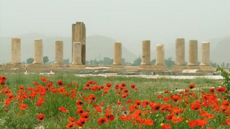 باغ پاسارگاد شیراز