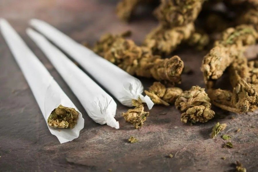 ماری جوانا؛ دارو یا دام پنهان اعتیاد؟