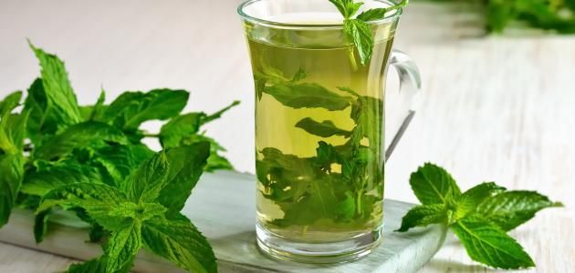 خواص نعنا بر اساس شواهد علمی معتبر و مستند