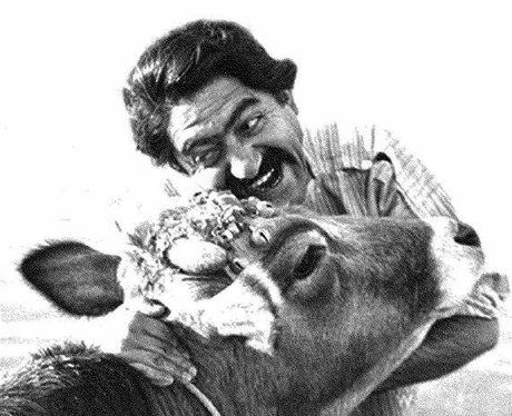 از فیلم فارسی تا موج نو: اثر سینمای دهه 40 و 50 پهلوی بر فرهنگ سیاسی ایران