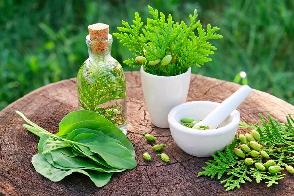آشنایی با خطرات گیاهان دارویی ناشناخته