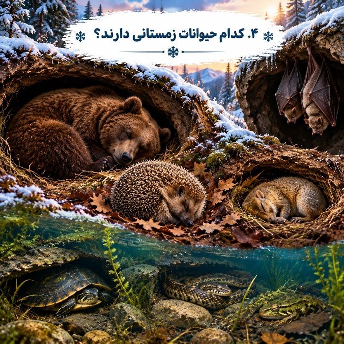 خواب زمستانی چیست؟ علت، مراحل و فهرست حیوانات خواب زمستانی