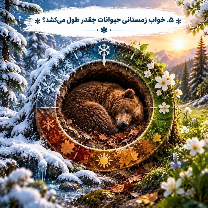خواب زمستانی چیست؟ علت، مراحل و فهرست حیوانات خواب زمستانی