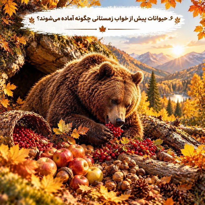 خواب زمستانی چیست؟ علت، مراحل و فهرست حیوانات خواب زمستانی