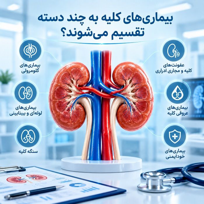 مقاله جامع انواع بیماریهای کلیه؛ علائم، علتها، روشهای تشخیص و درمان