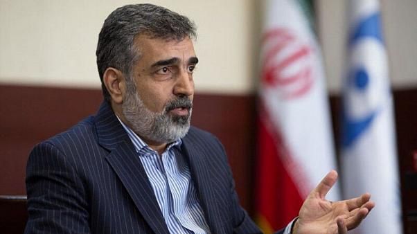 کمالوندی| مراجع امنیتی بنا به ملاحظات امنیتی فعلا بنا ندارند درباره حادثه نطنز صحبت کنند