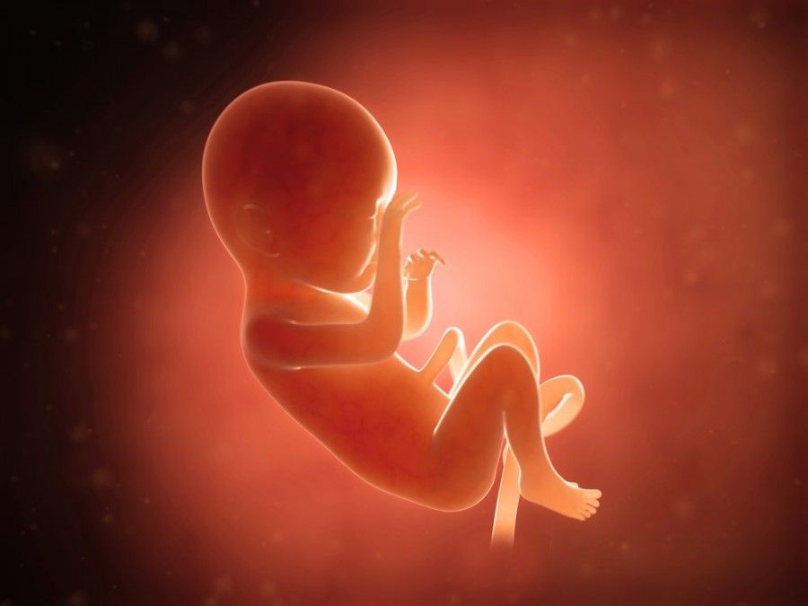 سقط جنین | عوارض ناشی از سقط جنین  |  عوارض روحی سقط جنین عمدی