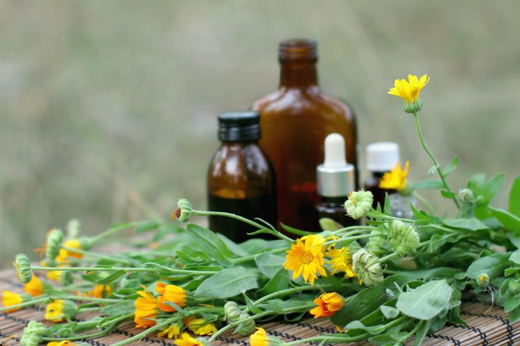عوارض جانبی گیاهان دارویی | گیاهان دارویی و آسیب به کبد و کلیه | گیاهان دارویی و تداخلات دارویی