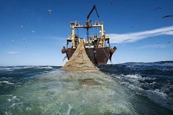 توقیف دو فروند کشتی متخلف صید ترال و کشف هزار و ۵۰۰ کیلوگرم انواع آبزیان