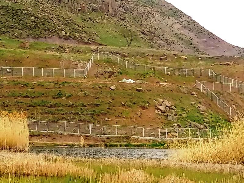 زمین‌خواری و تغییر کاربری اراضی در مازندران عرصه را بر بومیان تنگ کرده است