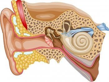سخت شدگی گوش یا اتواسکلروز | اتواسکلروز و اختلال شنوایی | علایم اتواسکلروز | تشخیص اتواسکلروز | درمان اتواسکلروز