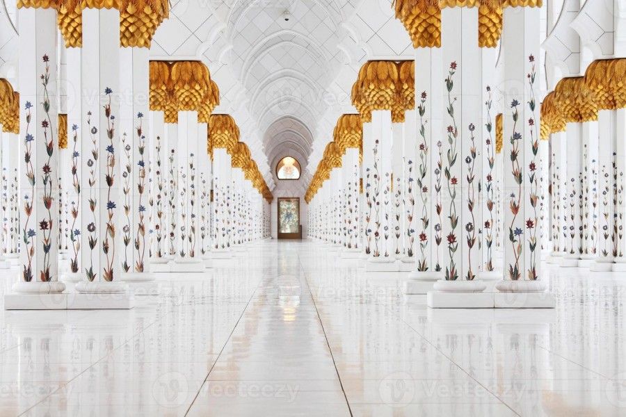 مسجد شیخ زاید | چند حقیقت جالب از مسجد شیخ زاید
