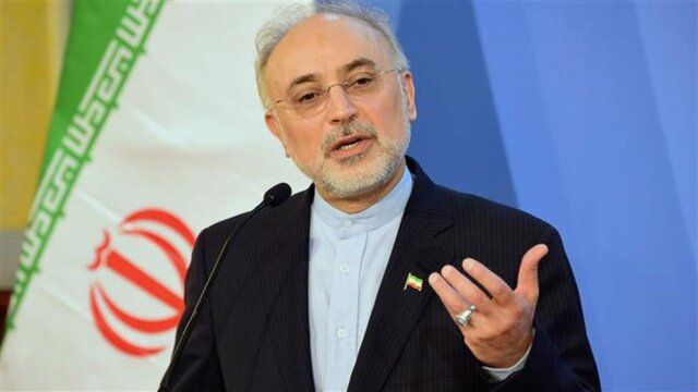 صالحی درباره صدور قطعنامه علیه ایران در شورای حکام آژانس هشدار داد